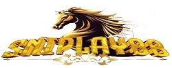 cepatmasukrsniplay88.com